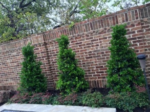 Кирпичный забор сплошной 12 метров фото в Некрасовском